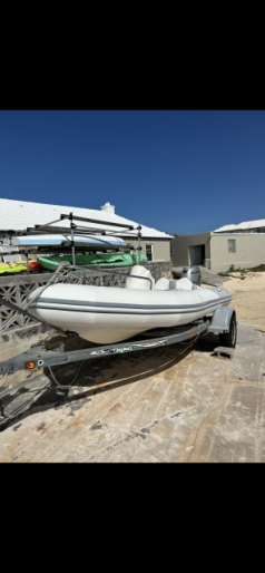 Zodiac 420dl