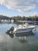 23 boston whaler outrage