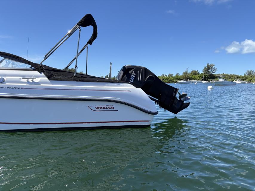 18' Boston Whaler Ventura + Riddell's Bay Mooring