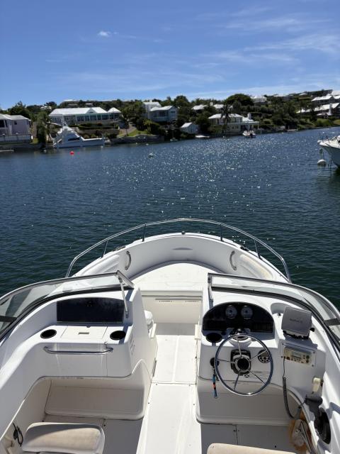 18' Boston Whaler Ventura + Riddell's Bay Mooring