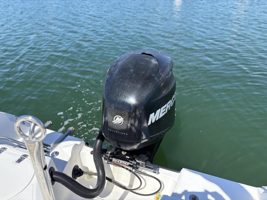 18' Boston Whaler Ventura + Riddell's Bay Mooring