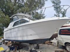 24ft Bayliner Cruiser for Sale