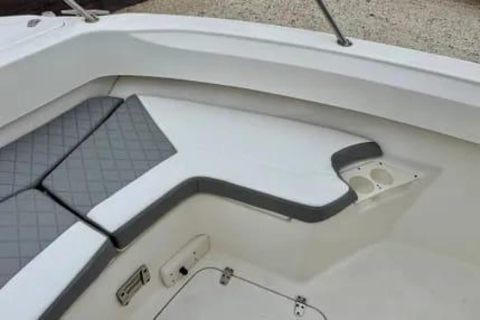Boston Whaler