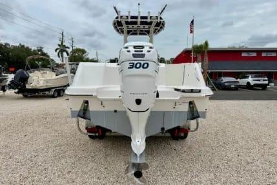 Boston Whaler