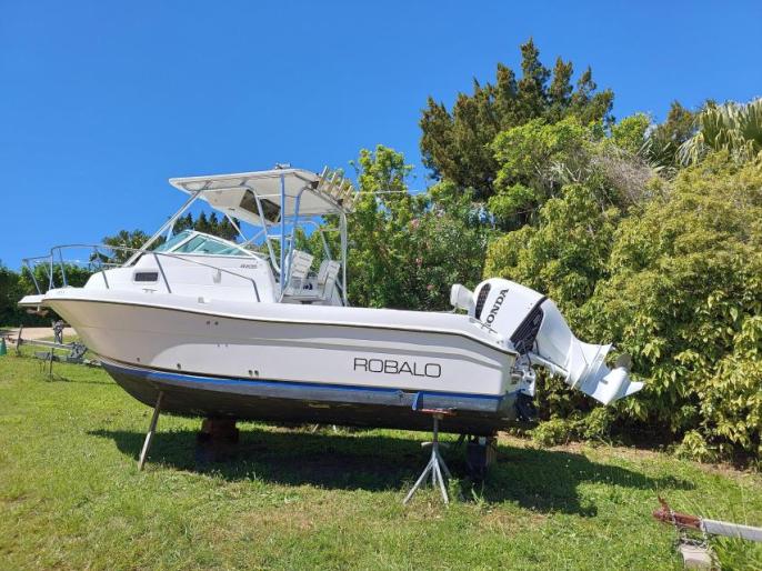 ROBALO R235 Walkaround (24.6 ft) - Honda 250HP