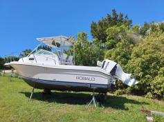 ROBALO R235 Walkaround (24.6 ft) - Honda 250HP