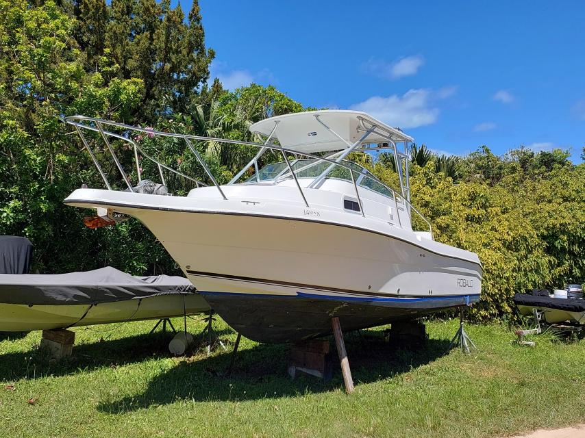 ROBALO R235 Walkaround (24.6 ft) - Honda 250HP