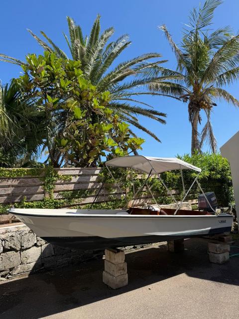 Boston whaler 15ft
