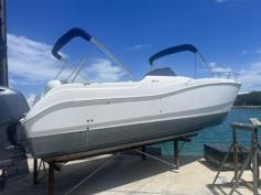 World Cat 266
