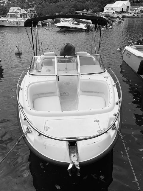Boston Whaler Ventura