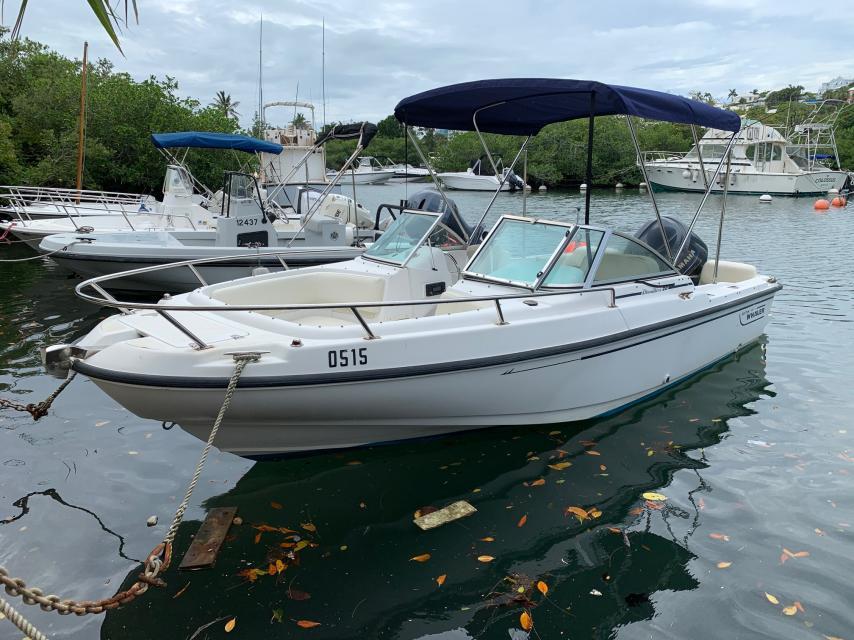 Boston Whaler Ventura
