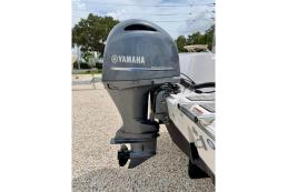 SeaFox CC 541hrs 2023 Yamaha  200 4-stroke 