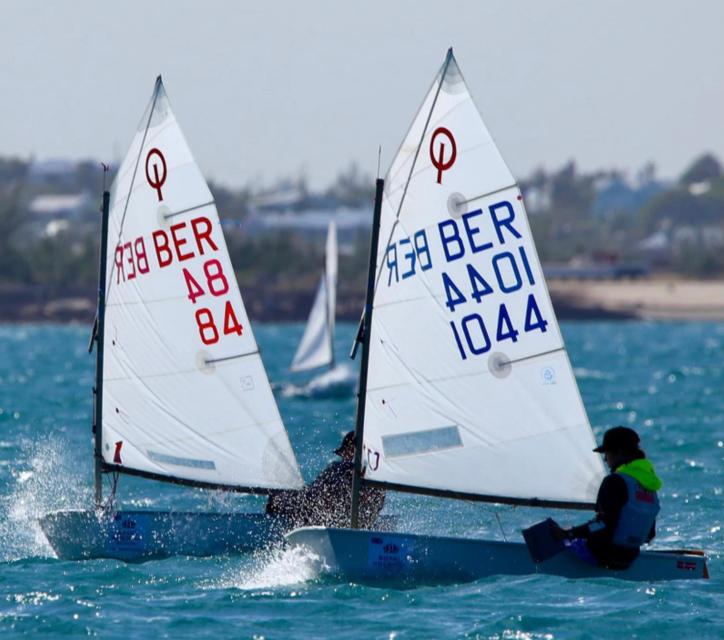 Optimist - Winner for Sale