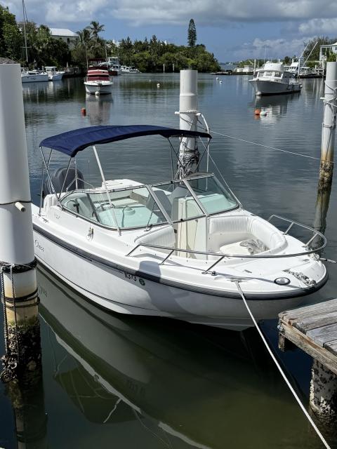 Boston Whaler 21ft