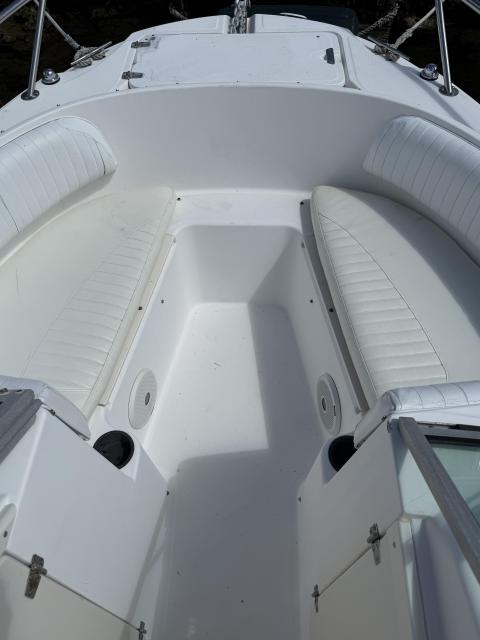Boston Whaler 21ft