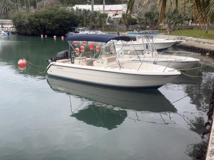 Pursuit 2270/ Suzuki 4stroke 225 low hours