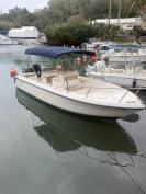 Pursuit 2270/ Suzuki 4stroke 225 low hours
