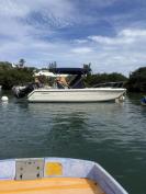 Pursuit 2270/ Suzuki 4stroke 225 low hours
