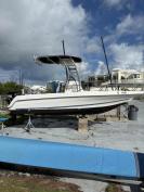 Wellcraft CC with Suzuki 115hp