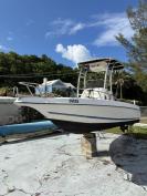 Wellcraft CC with Suzuki 115hp