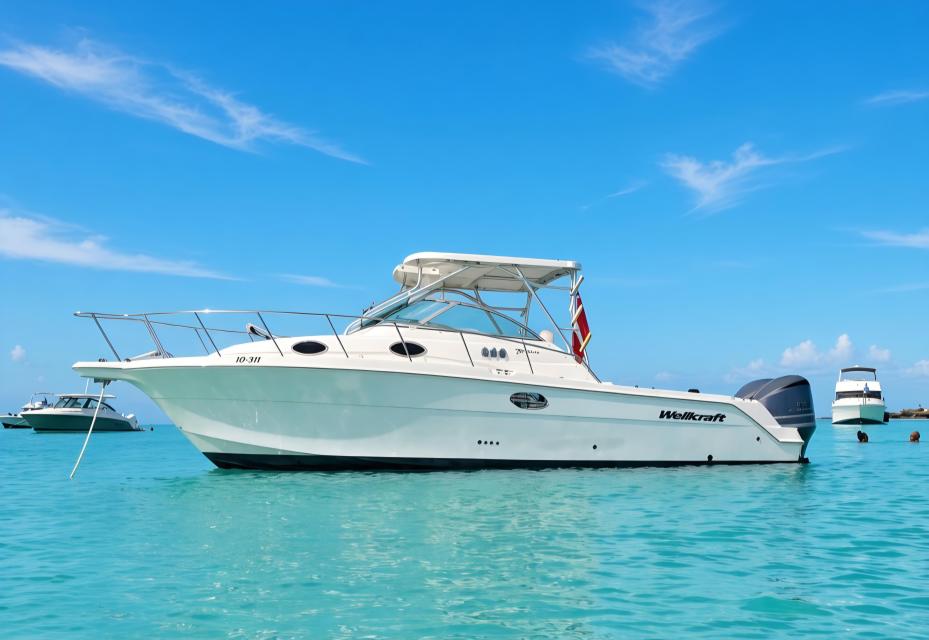 Wellcraft 290 Pleasure/FIshing Craft