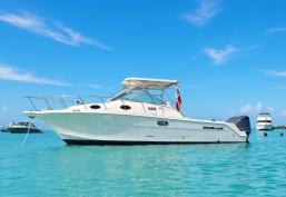 Wellcraft 290 Pleasure/FIshing Craft
