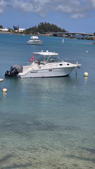 Wellcraft 290 Pleasure/FIshing Craft