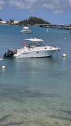 Wellcraft 290 Pleasure/FIshing Craft
