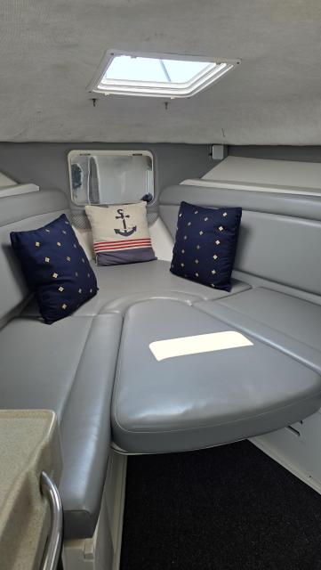 Wellcraft 290 Pleasure/FIshing Craft