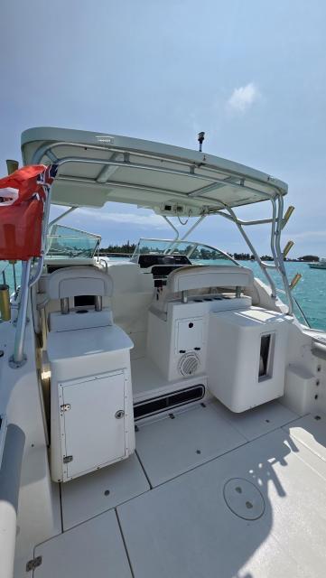 Wellcraft 290 Pleasure/FIshing Craft