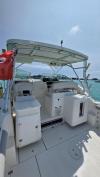 Wellcraft 290 Pleasure/FIshing Craft