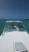Wellcraft 290 Pleasure/FIshing Craft