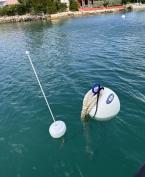 Swing Mooring - Mills Passage