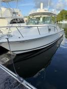 Great Condition - Ready to go