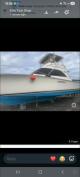 Ocean 38 foot