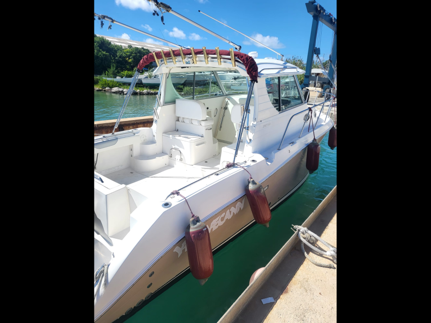29 foot Seaswirl  power boat