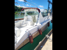 29 foot Seaswirl  power boat