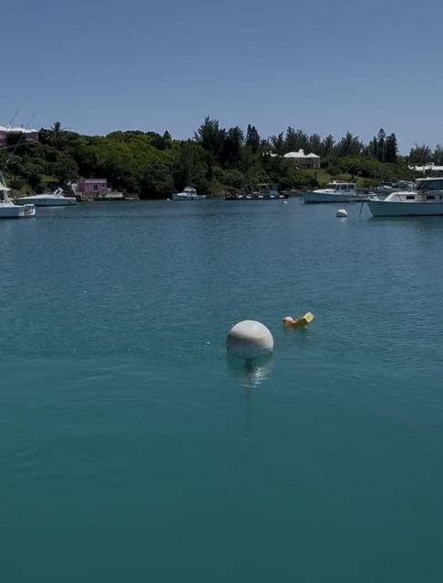 Insurable mooring for sale up to 32ft