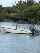 18'ft Boston Whaler Dauntless