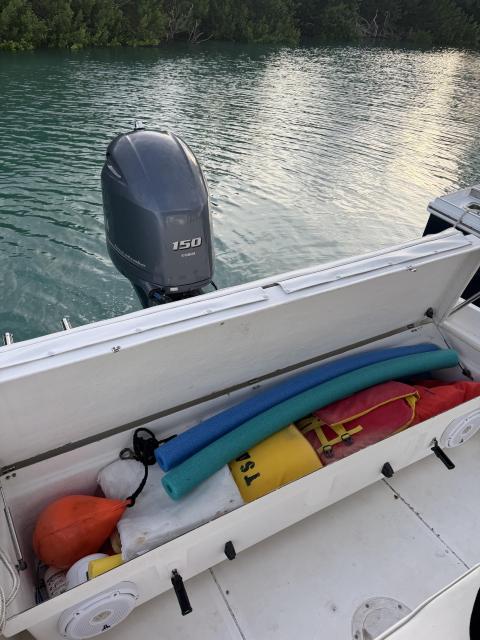 18'ft Boston Whaler Dauntless