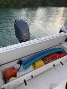18'ft Boston Whaler Dauntless
