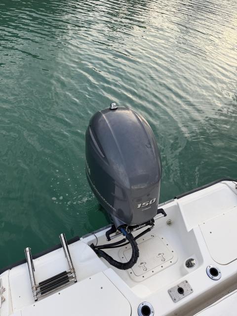 18'ft Boston Whaler Dauntless
