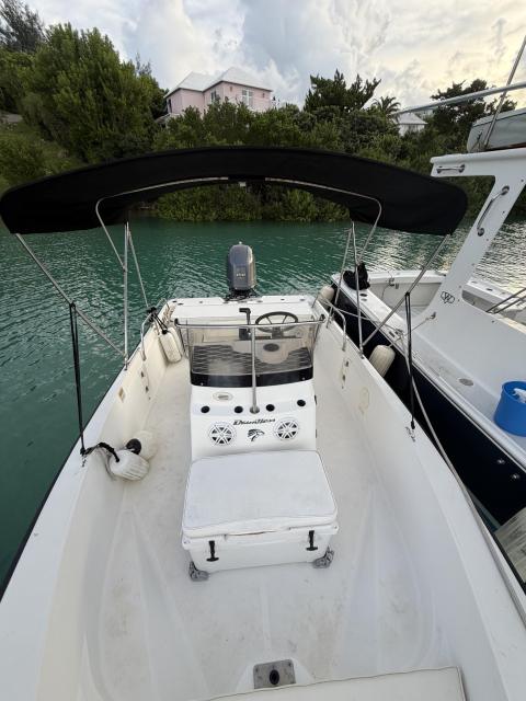 18'ft Boston Whaler Dauntless