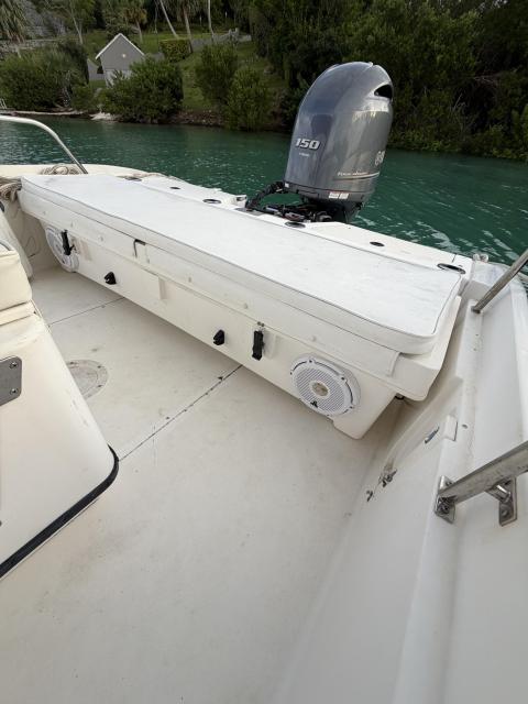 18'ft Boston Whaler Dauntless