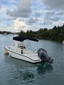 18'ft Boston Whaler Dauntless