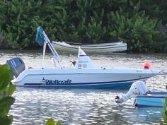 Wellcraft 19ft 130hp Yamaha 4-stroke  150hrs est..