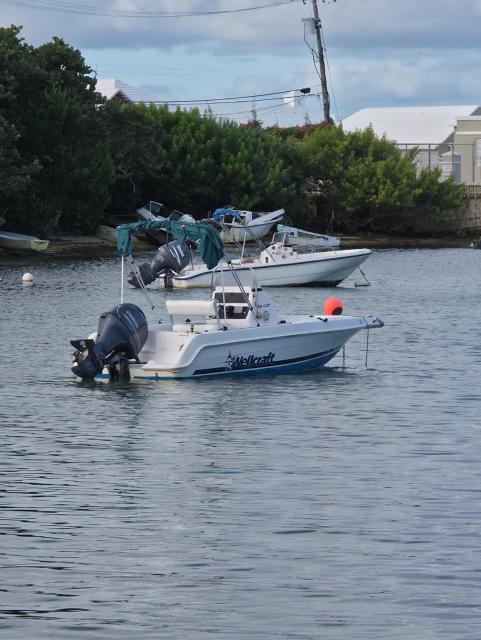 Wellcraft 19ft 130hp Yamaha 4-stroke  150hrs est..