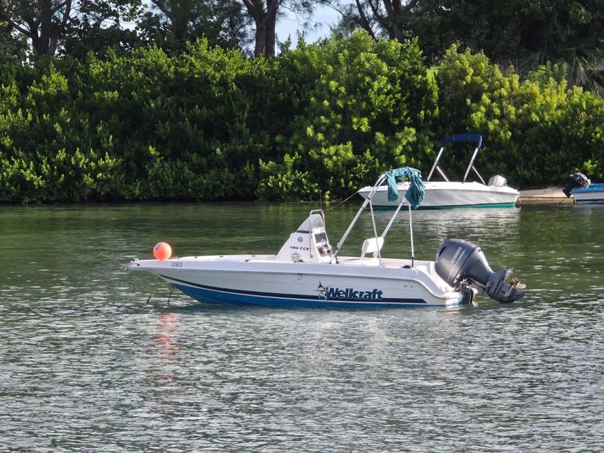 Wellcraft 19ft 130hp Yamaha 4-stroke  150hrs est..