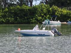 Wellcraft 19ft 130hp Yamaha 4-stroke  150hrs est..