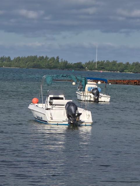 Wellcraft 19ft 130hp Yamaha 4-stroke  150hrs est..